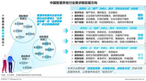 中国智慧养老行业研究报告 物联网应用服务的创新与展望