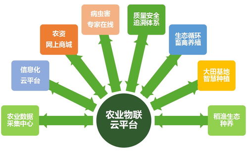 智慧农业物联网发展 智慧农业的解决方案